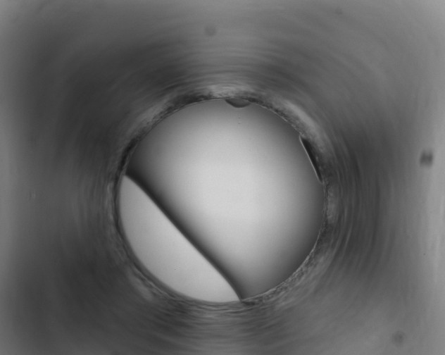 X0000103440405200809121106