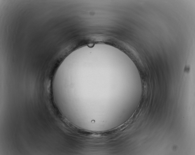 X0000103440406200809121106