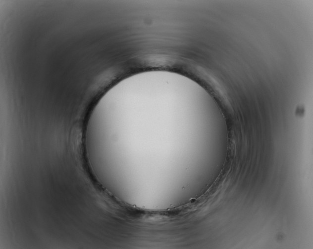 X0000103440407200809121106