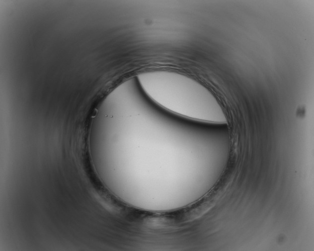 X0000103440408200809121106