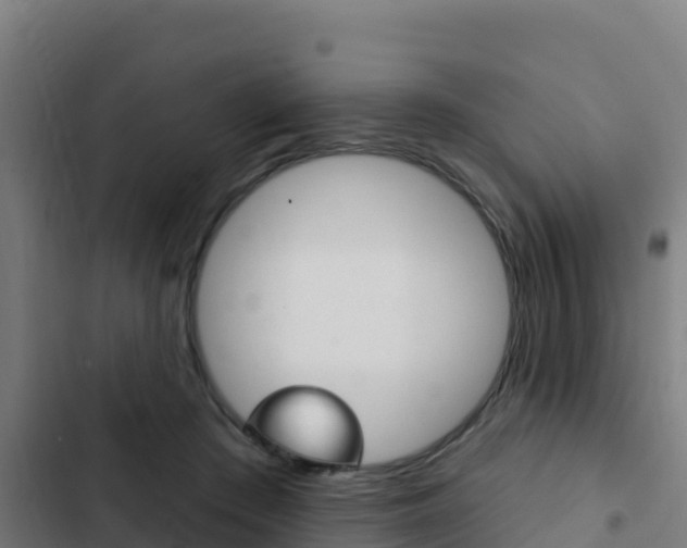 X0000103440409200809121106