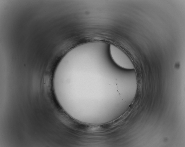 X0000103440410200809121106