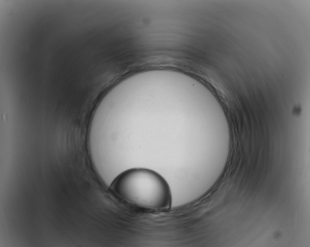 X0000103440411200809121106