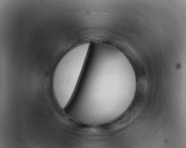 X0000103440412200809121106