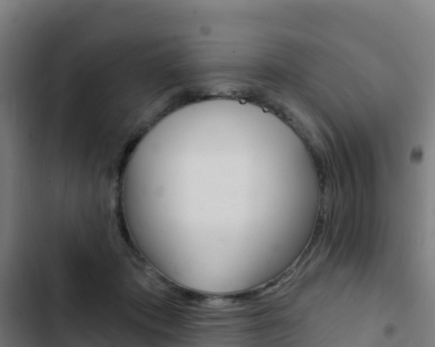 X0000103440413200809121106