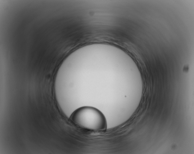 X0000103440415200809121106