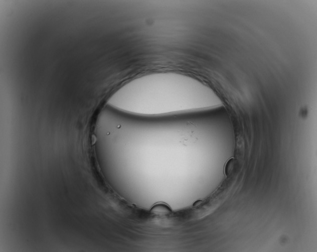 X0000103440416200809121106
