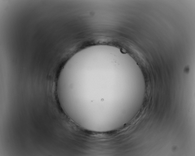 X0000103440417200809121106