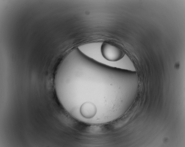 X0000103440418200809121106
