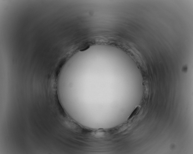 X0000103440419200809121106