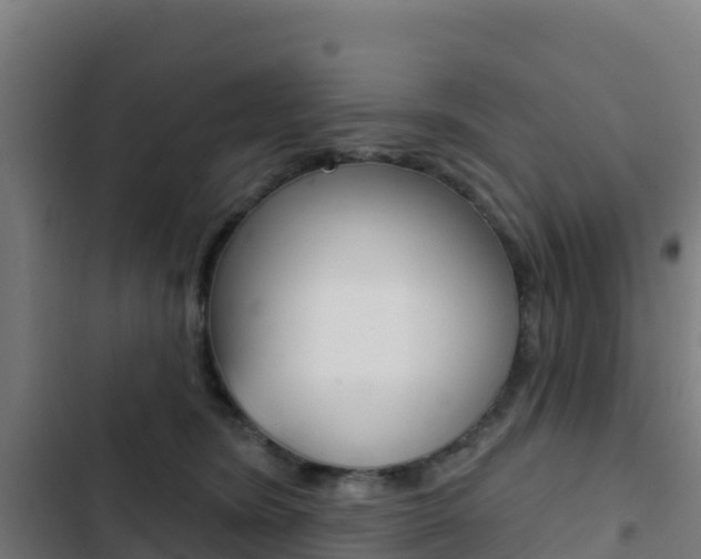 X0000103440420200809121106