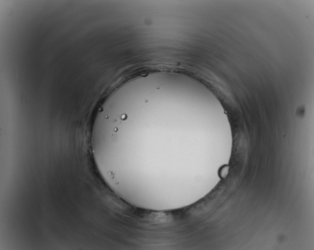 X0000103440421200809121106