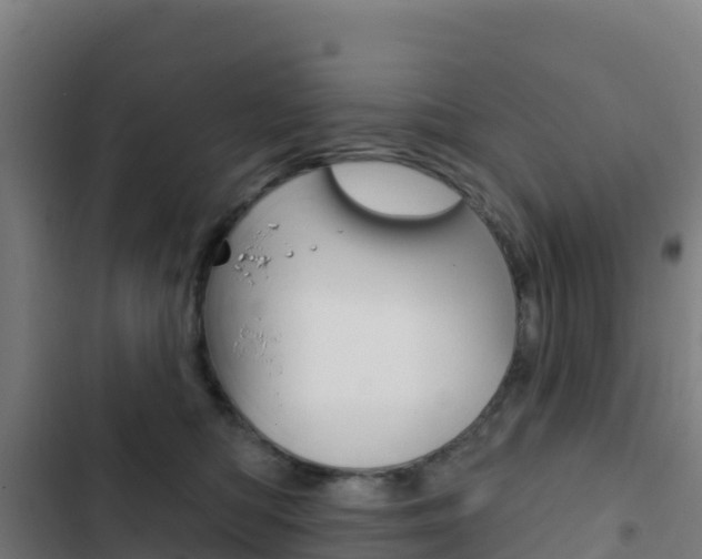 X0000103440422200809121106