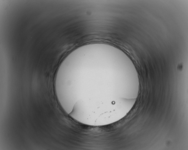 X0000103440423200809121106