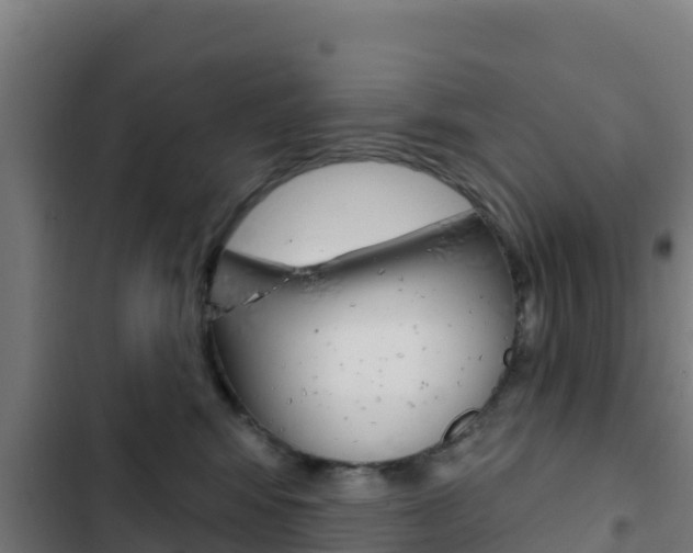 X0000103440424200809121106