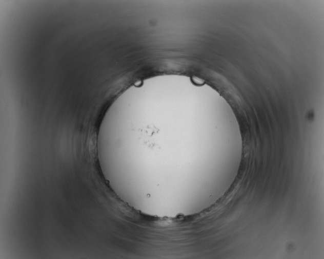 X0000103440425200809121106