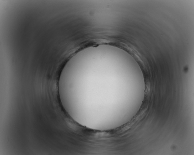 X0000103440426200809121106