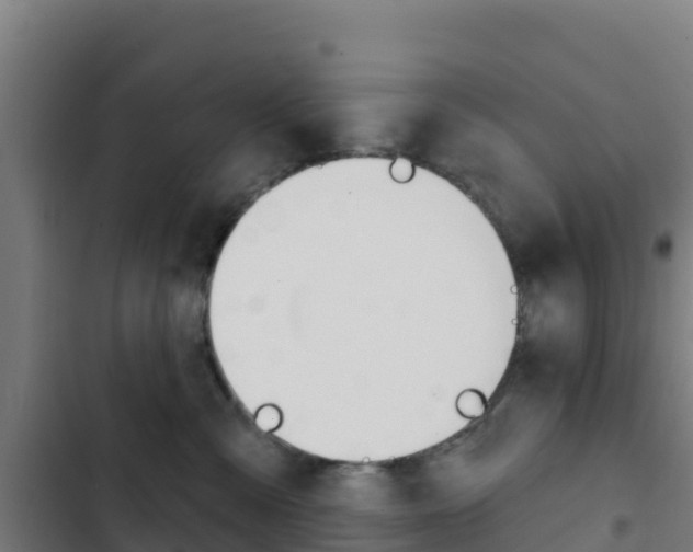 X0000103440427200809121106