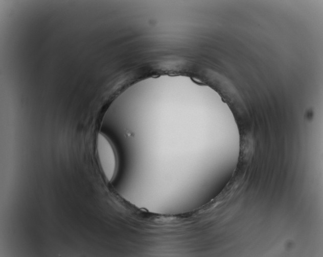 X0000103440428200809121106