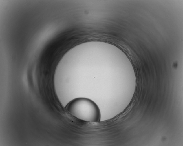 X0000103440429200809121106