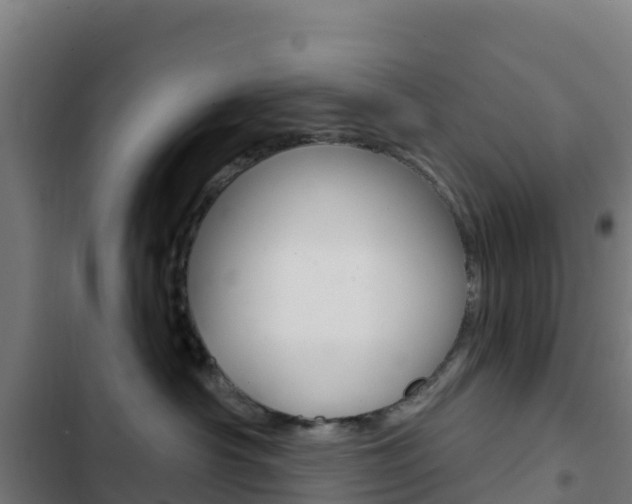 X0000103440430200809121106