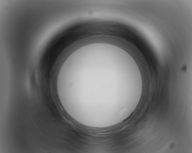 X0000103440431200809121106