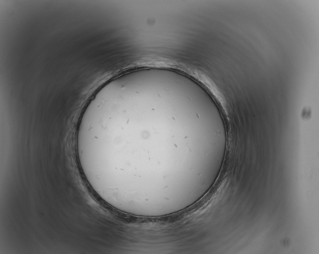X0000103440433200809121105