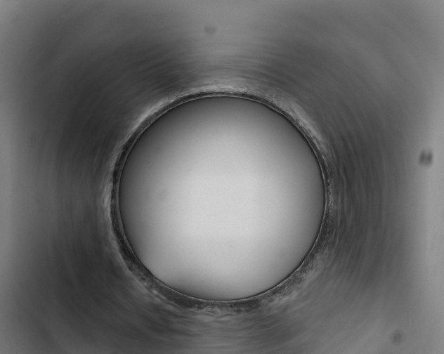 X0000103440434200809121105