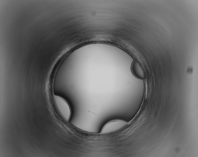 X0000103440435200809121105