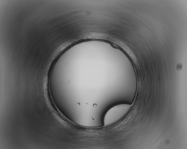 X0000103440437200809121105