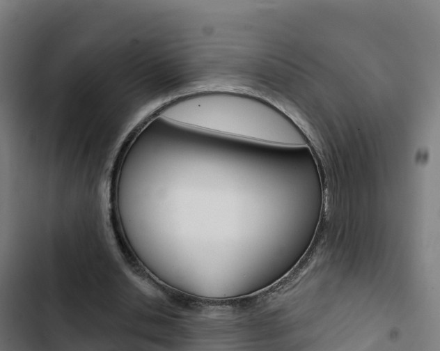X0000103440438200809121105