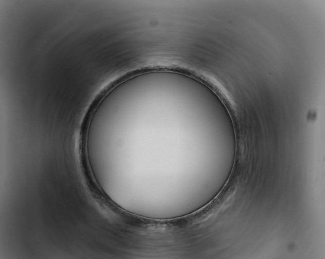 X0000103440439200809121105