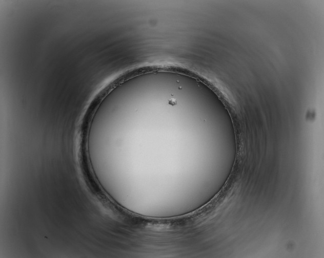 X0000103440440200809121105