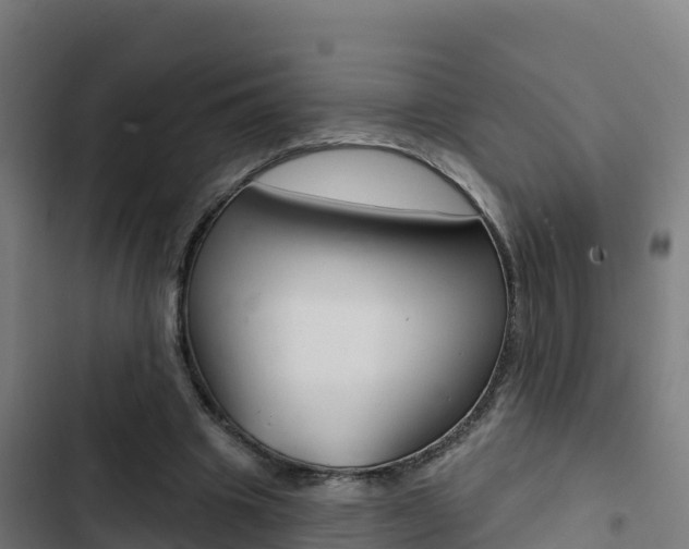 X0000103440441200809121105