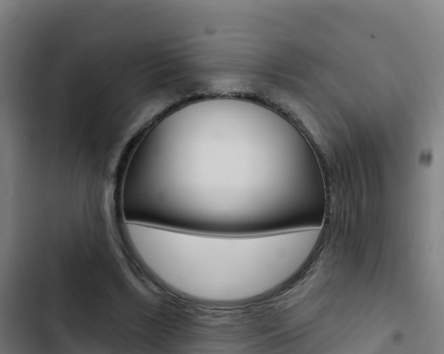 X0000103440443200809121105
