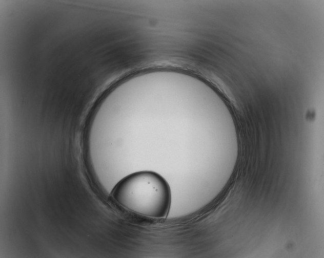 X0000103440444200809121105