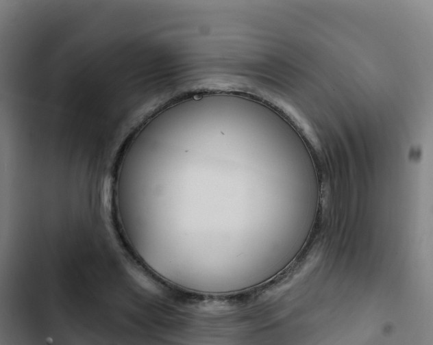 X0000103440445200809121105