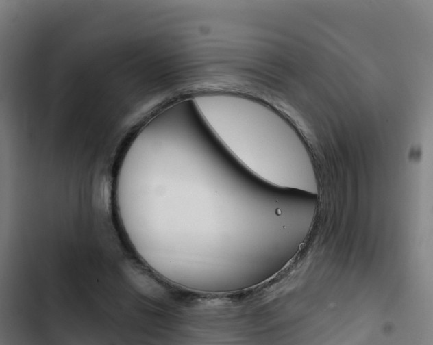 X0000103440446200809121105