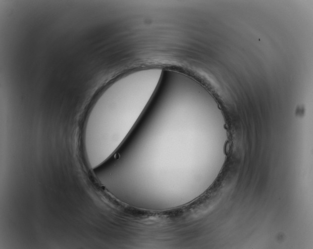 X0000103440447200809121105