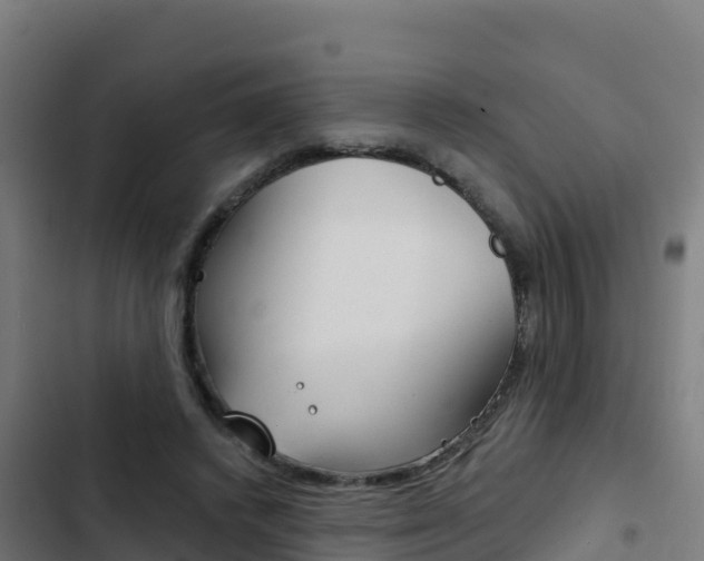 X0000103440448200809121105