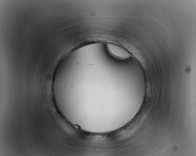 X0000103440449200809121105