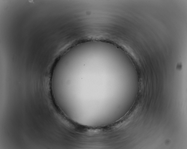 X0000103440450200809121105