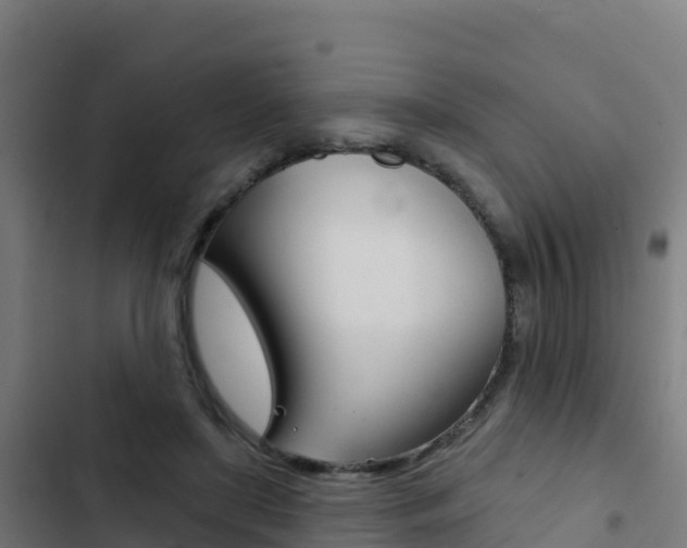 X0000103440451200809121105