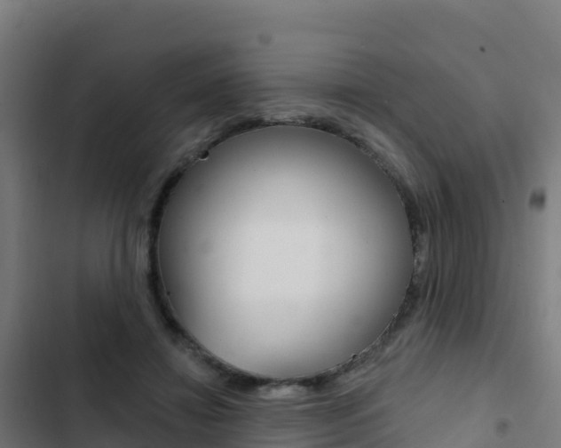 X0000103440452200809121105