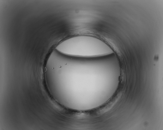 X0000103440453200809121105