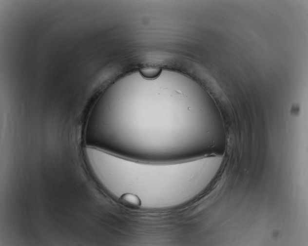 X0000103440454200809121105