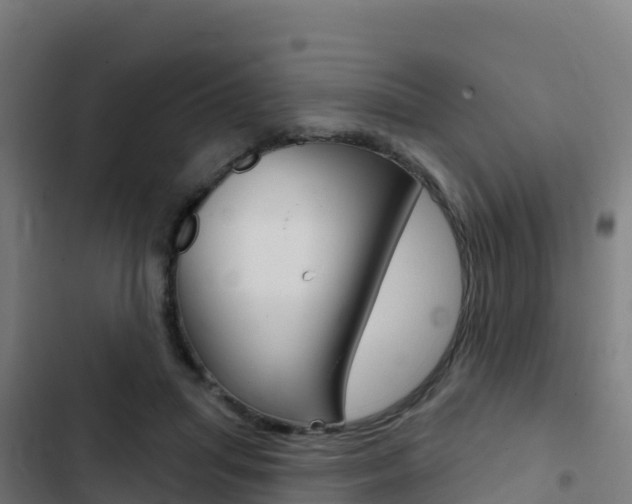 X0000103440455200809121105