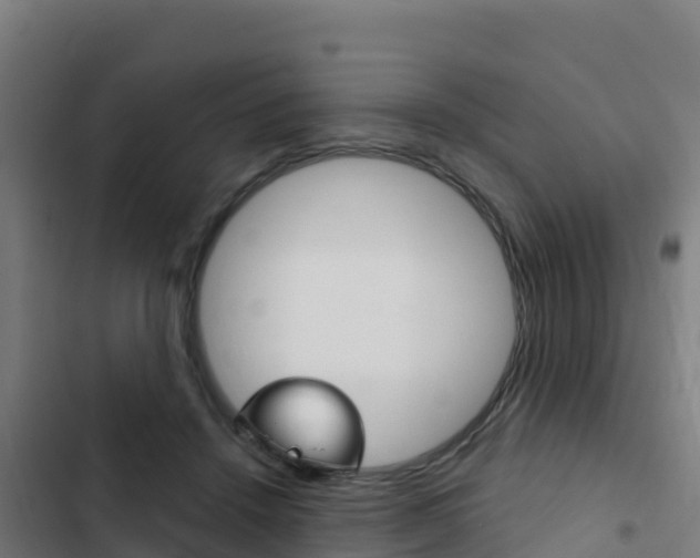 X0000103440456200809121105