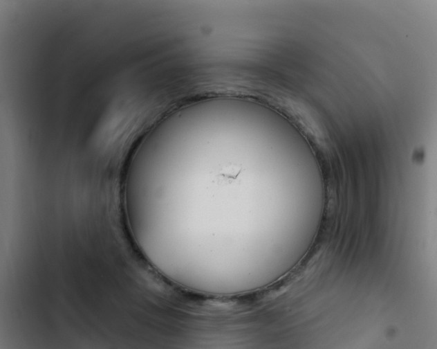 X0000103440457200809121105