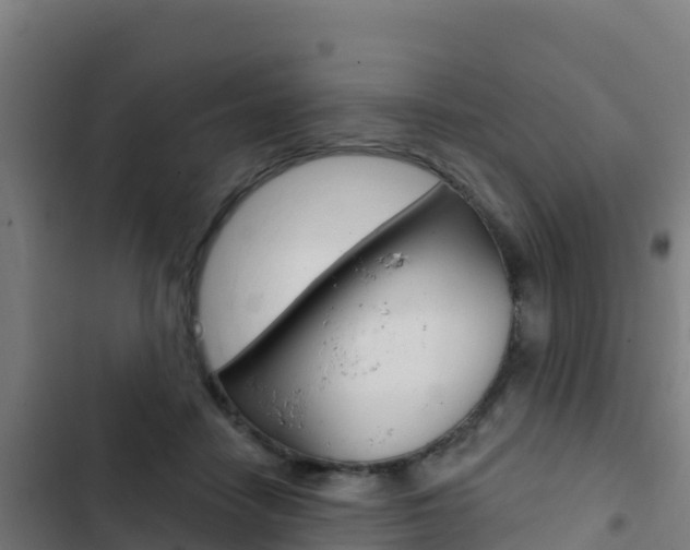 X0000103440458200809121105